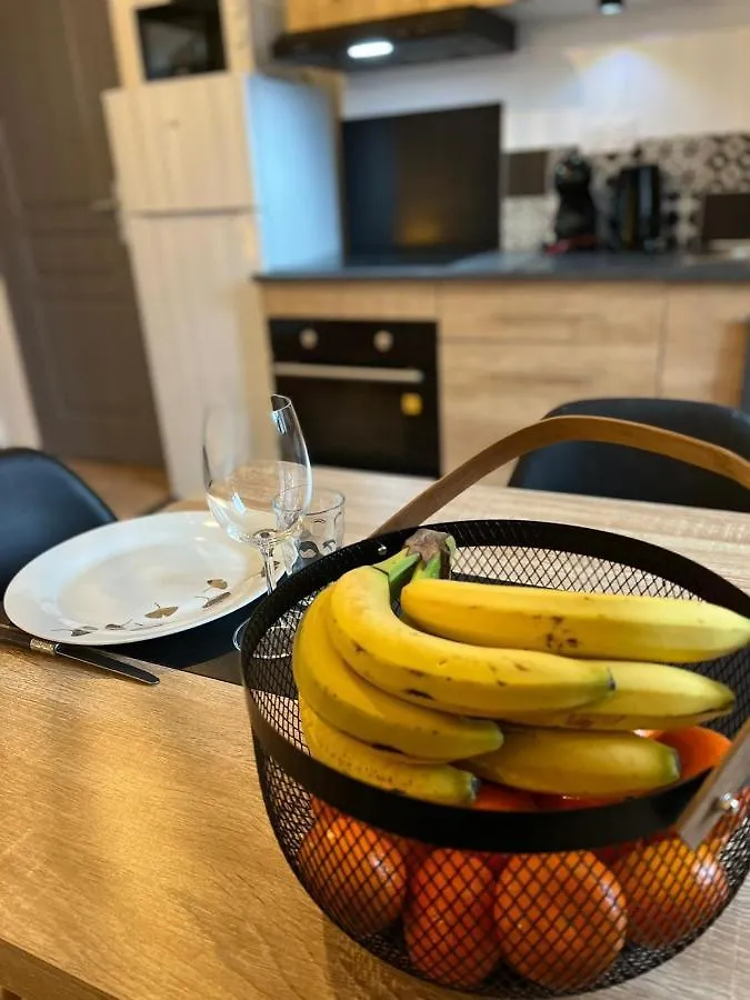 Apartment Junon - Appart Tout Equipe, Renove Vichy France