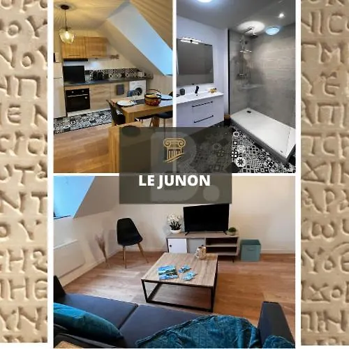 Junon - Appart Tout Equipe, Renove Vichy